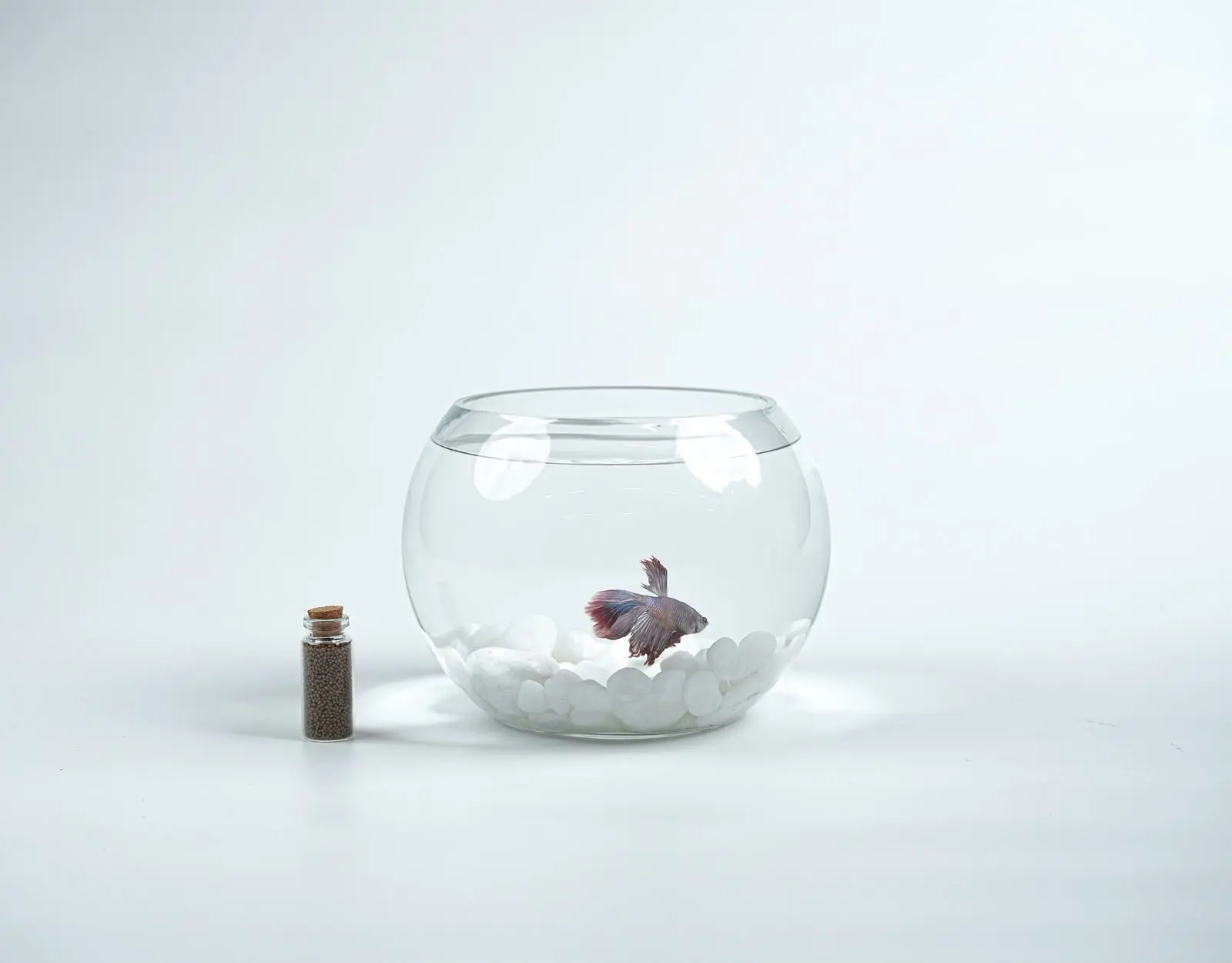 Fish & Cake Gift Box