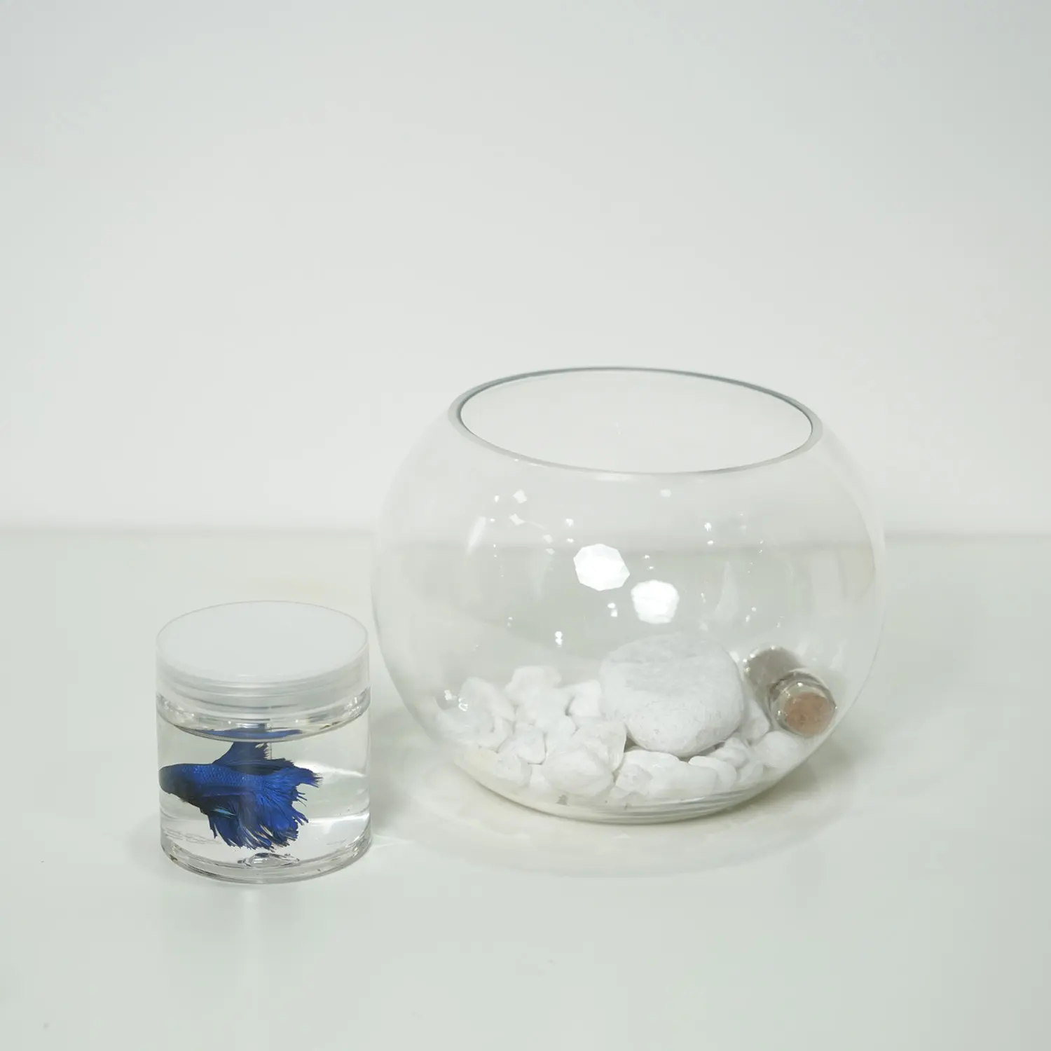 Haq Al Laila Celebration Gift Box - With Fish