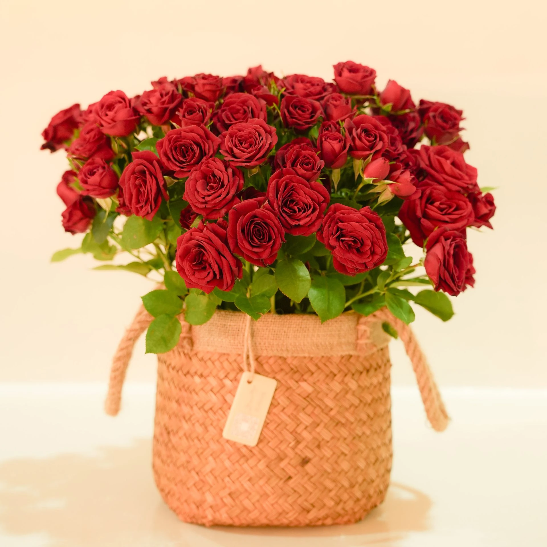 Valentine's Bloom